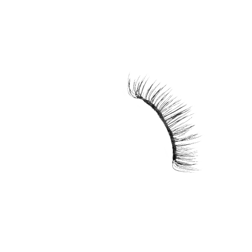 Eyelash Style B